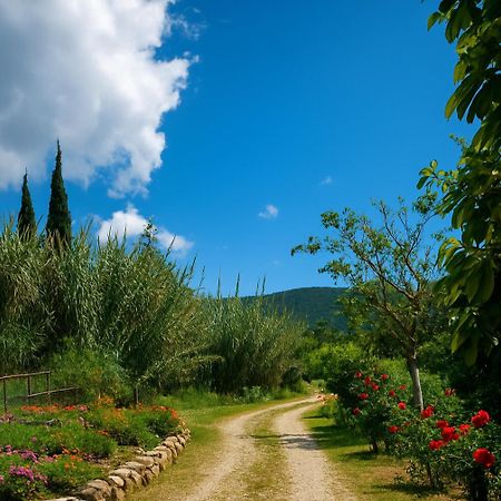 Rodanthy III Κατελειός Εξωτερικό φωτογραφία