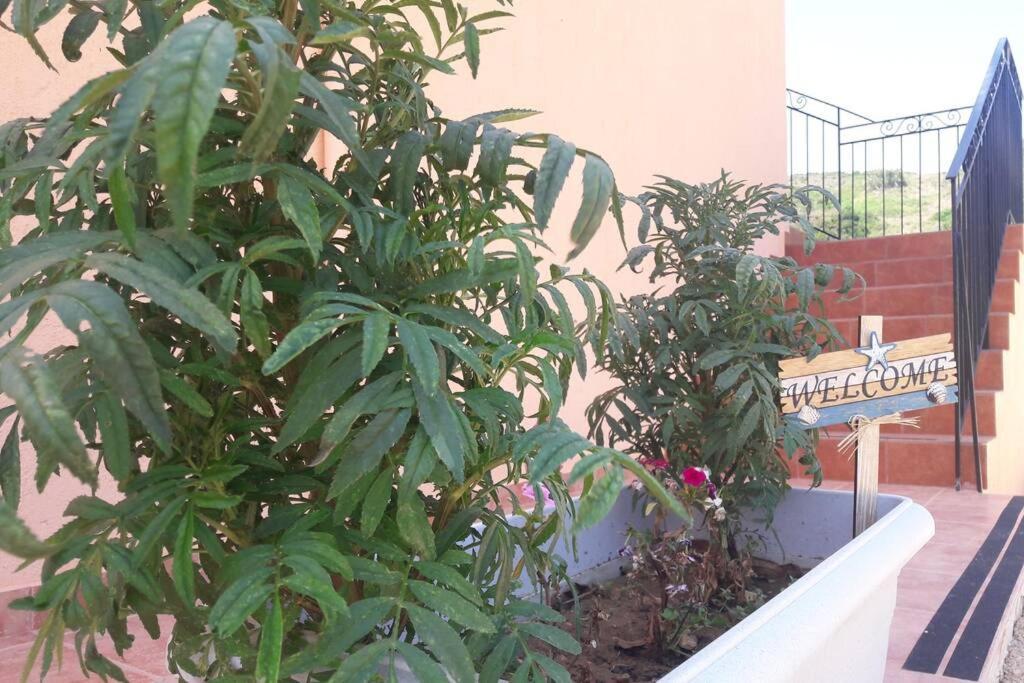 Rodanthy III Κατελειός Εξωτερικό φωτογραφία